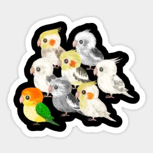 parakeets Sticker